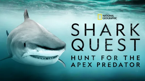 thumbnail - Shark Quest: Hunt for the Apex Predator