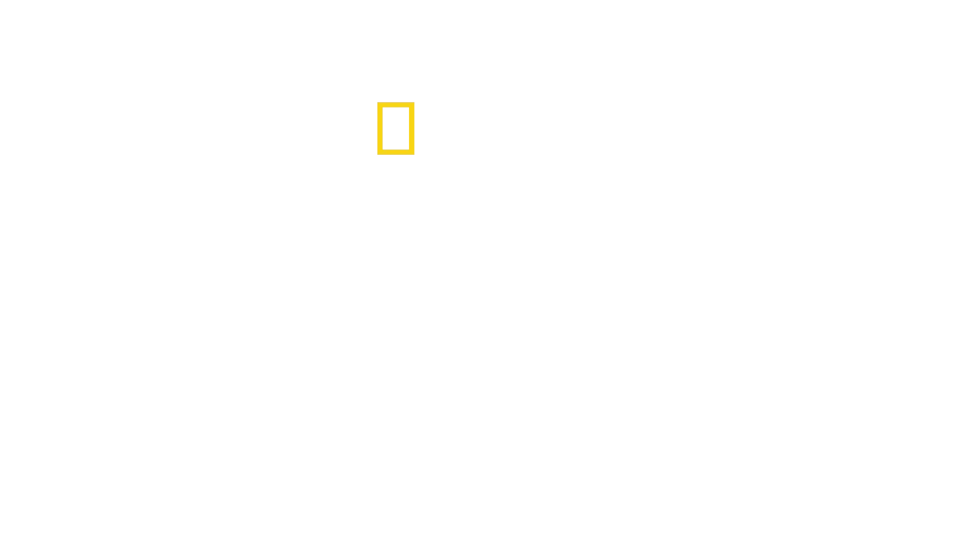 Secrets of the Zoo