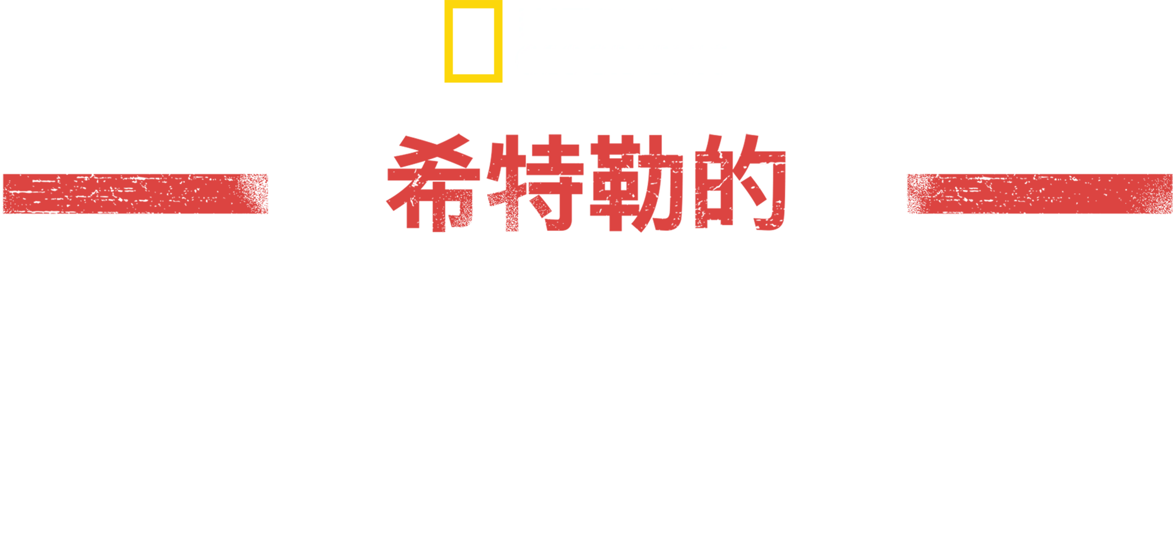 希特勒的美国战场