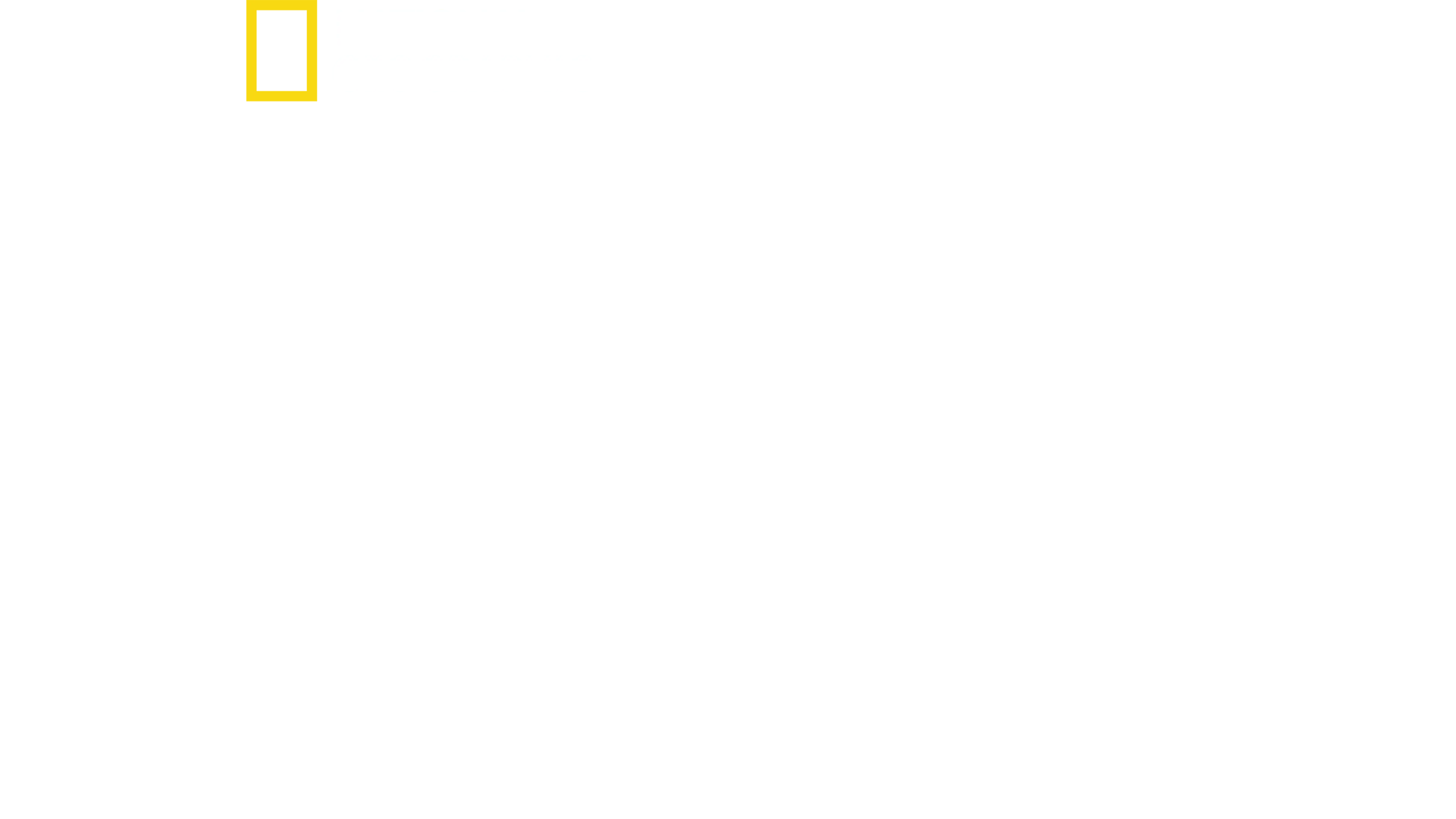 지구를 위하여: 파리에서 피츠버그까지