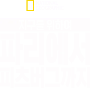 지구를 위하여: 파리에서 피츠버그까지