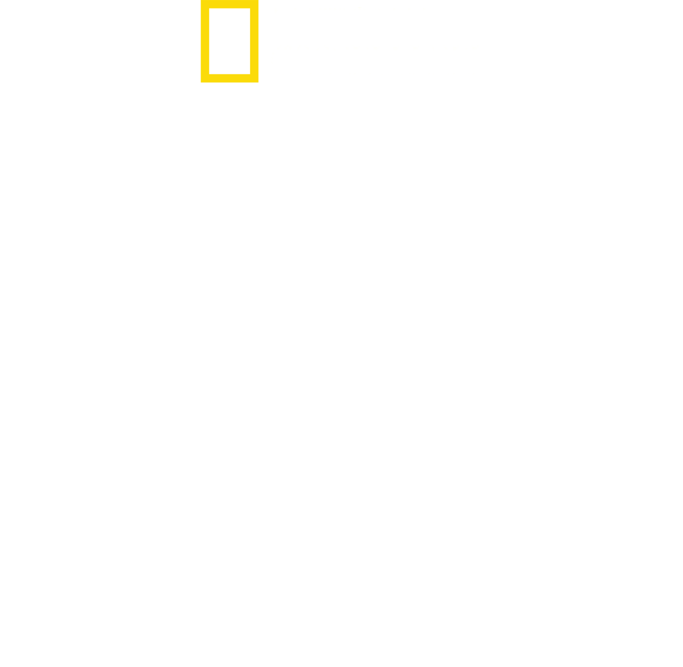 지구를 위하여: 파리에서 피츠버그까지