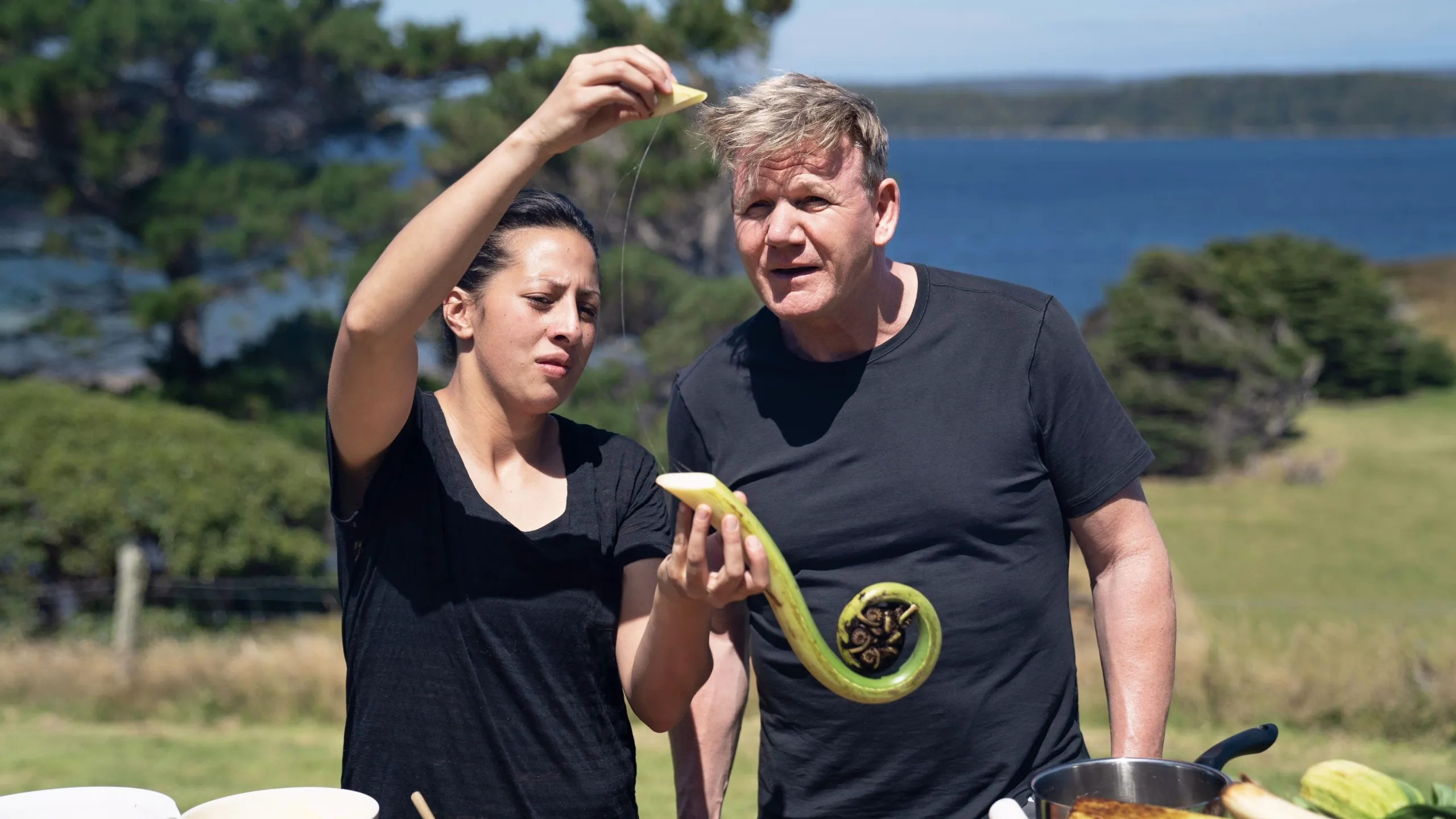 thumbnail - S1:E2 New Zealand's Rugged South