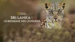 thumbnail - Sri Lanka : Le royaume des léopards