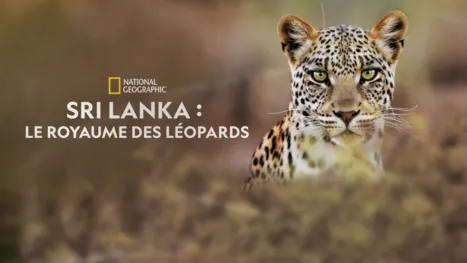 thumbnail - Sri Lanka : Le royaume des léopards