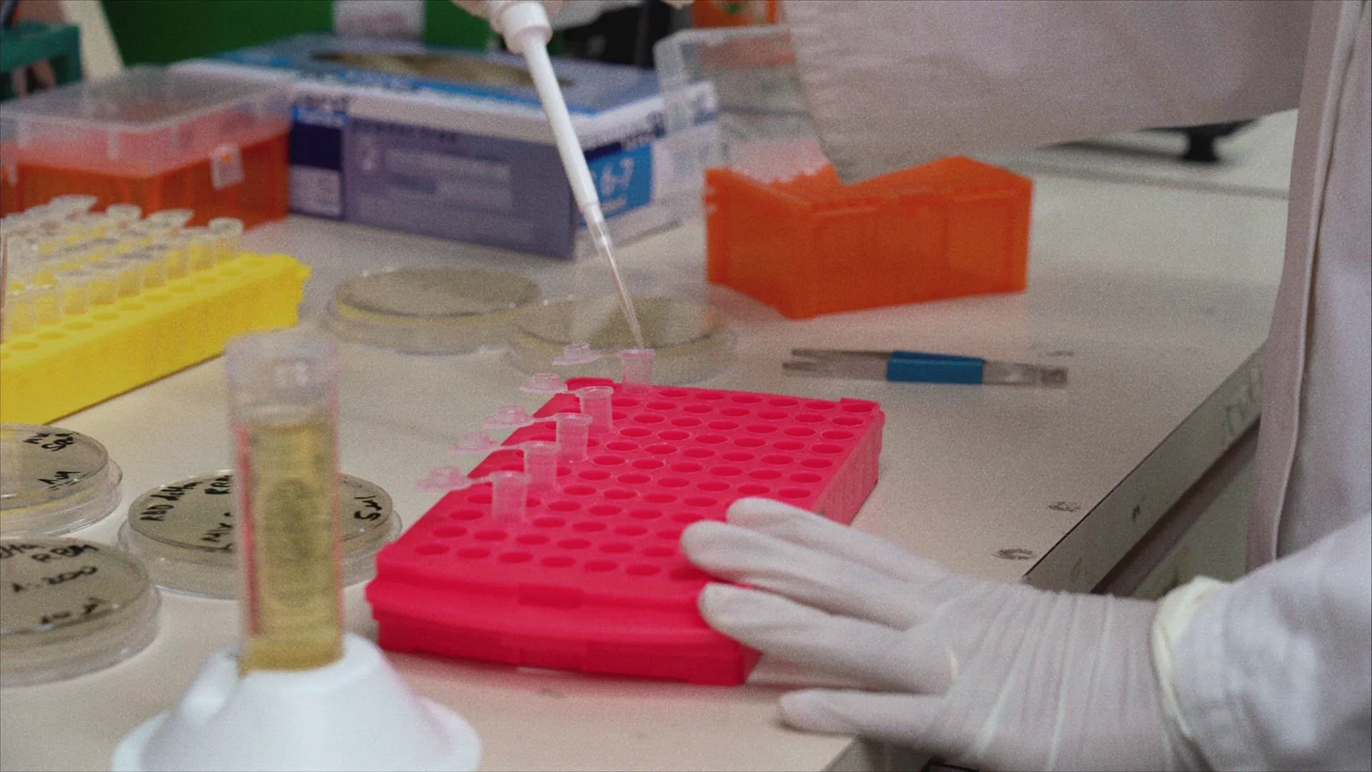 thumbnail - S2:E19 Strange Afflictions