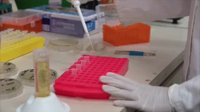 thumbnail - S2:E19 Strange Afflictions