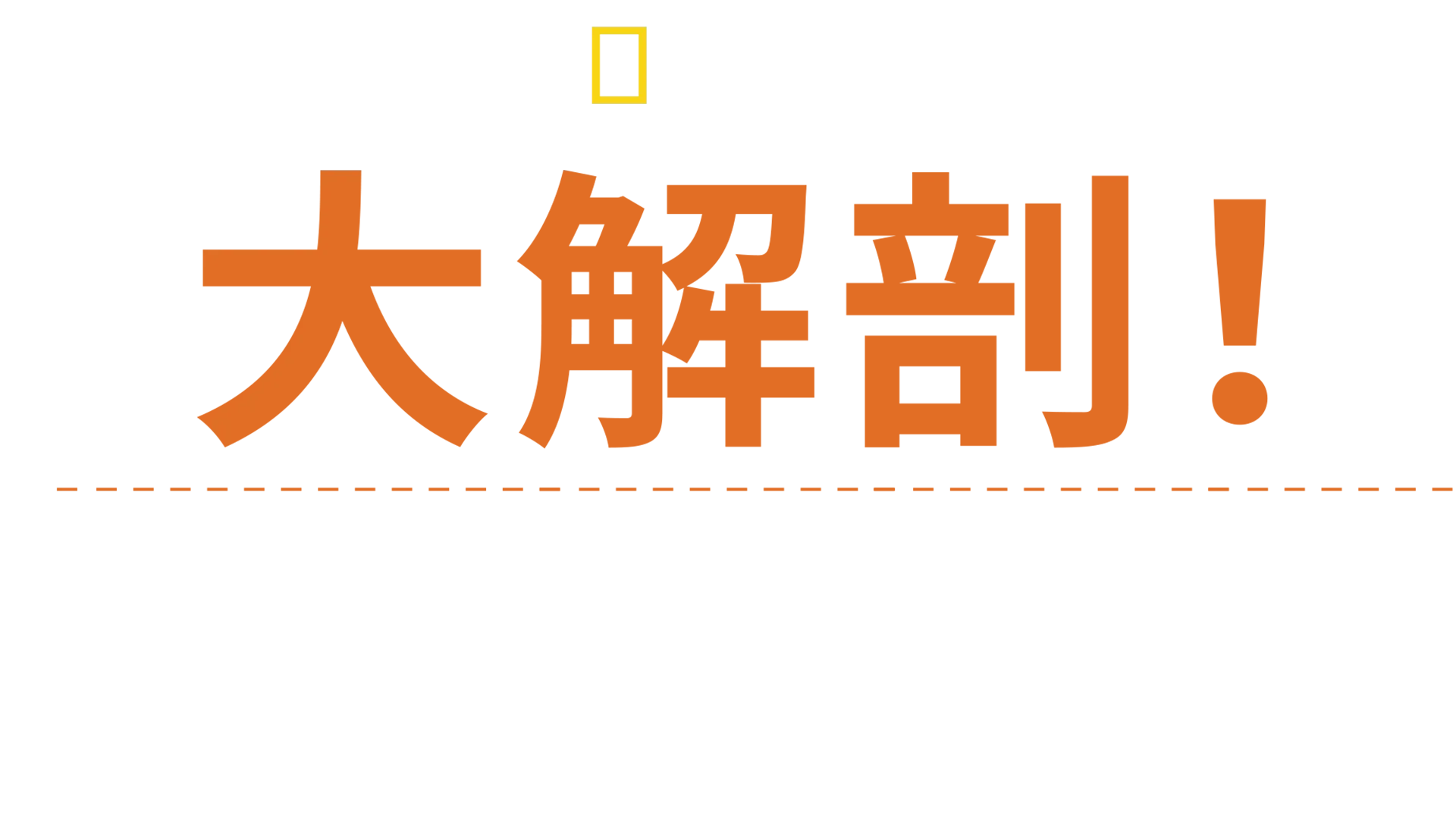 大解剖！衝撃の瞬間