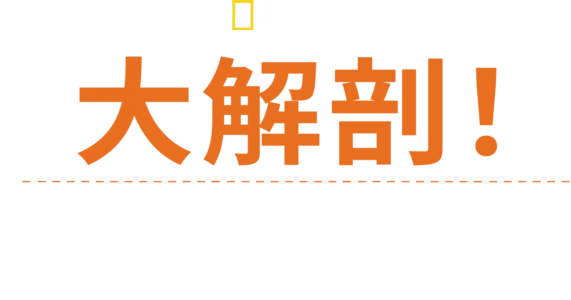 大解剖！衝撃の瞬間