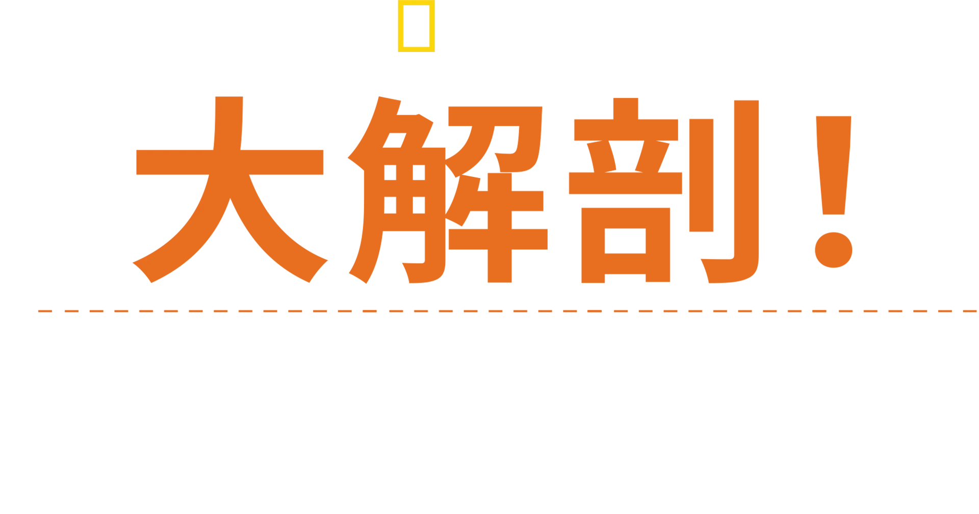 大解剖！衝撃の瞬間