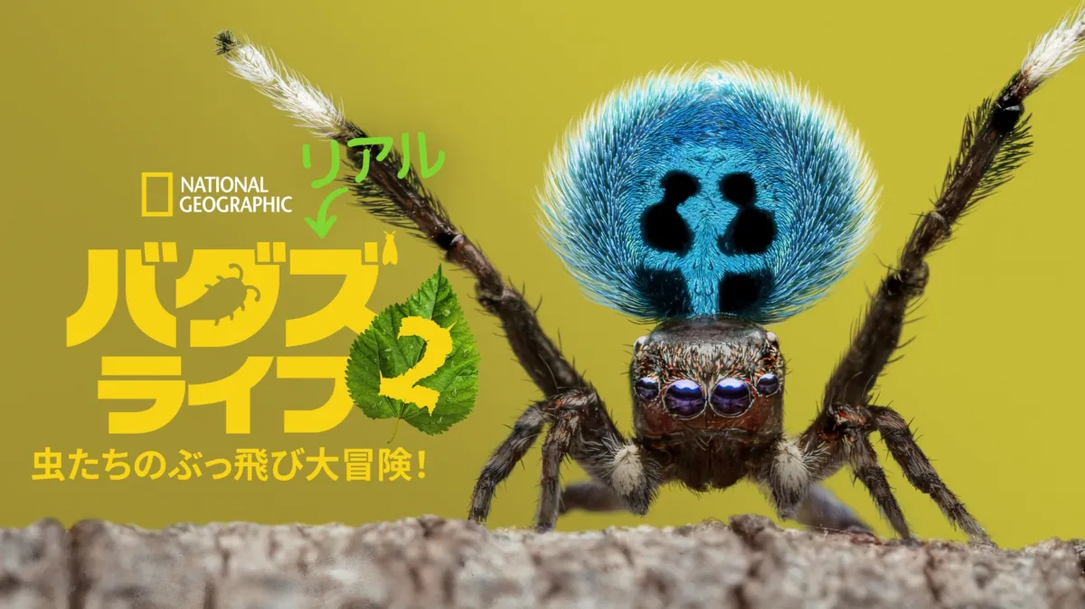 リアル・バグズ・ライフ：虫たちのぶっ飛び大冒険！を配信で見る 