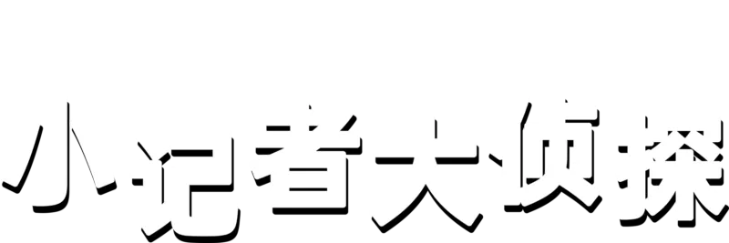 小记者大侦探