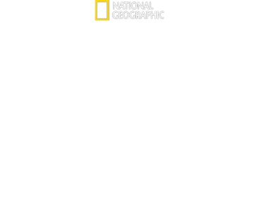 Hitler: Guerra alla stampa
