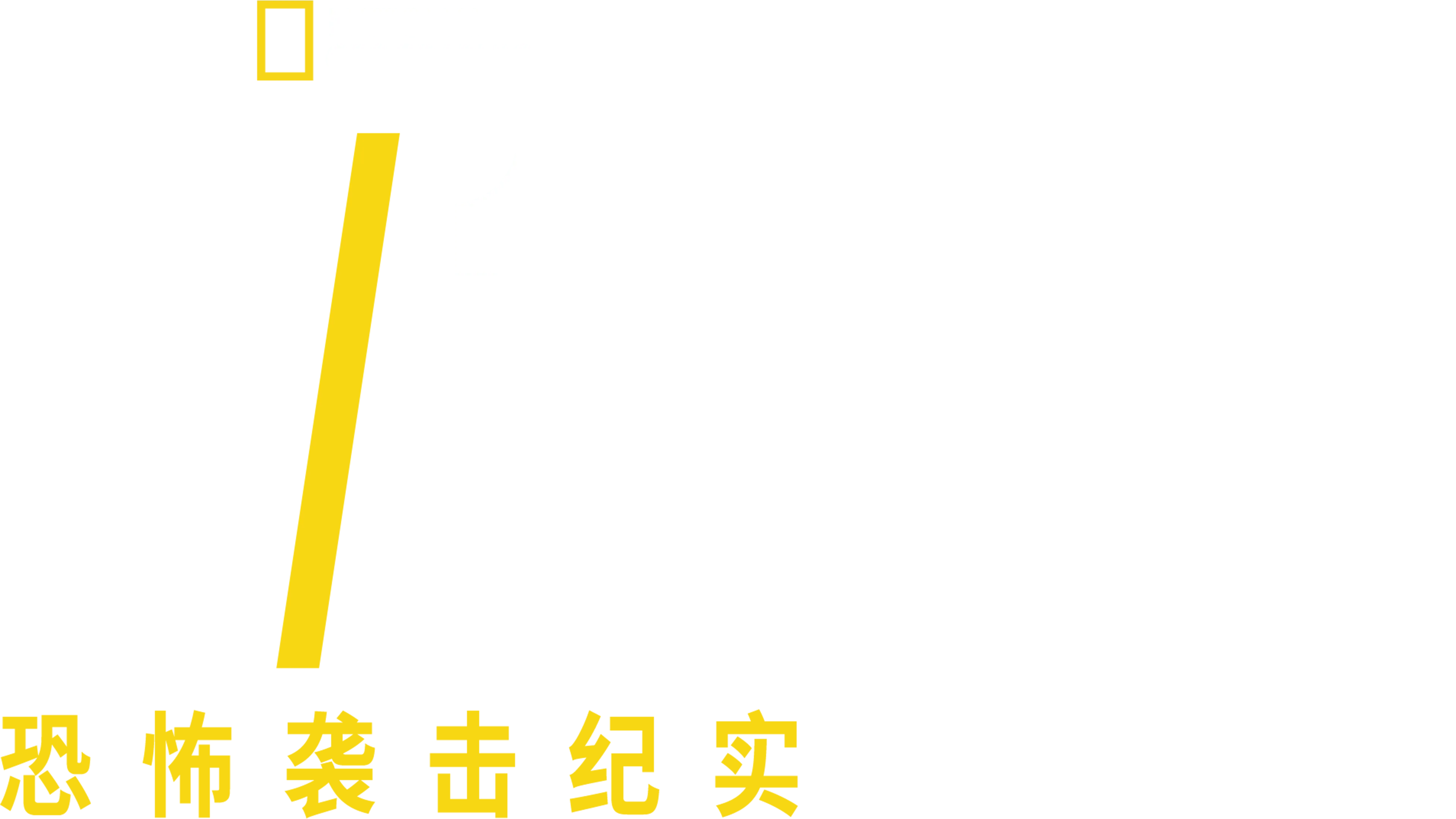 911恐怖袭击纪实