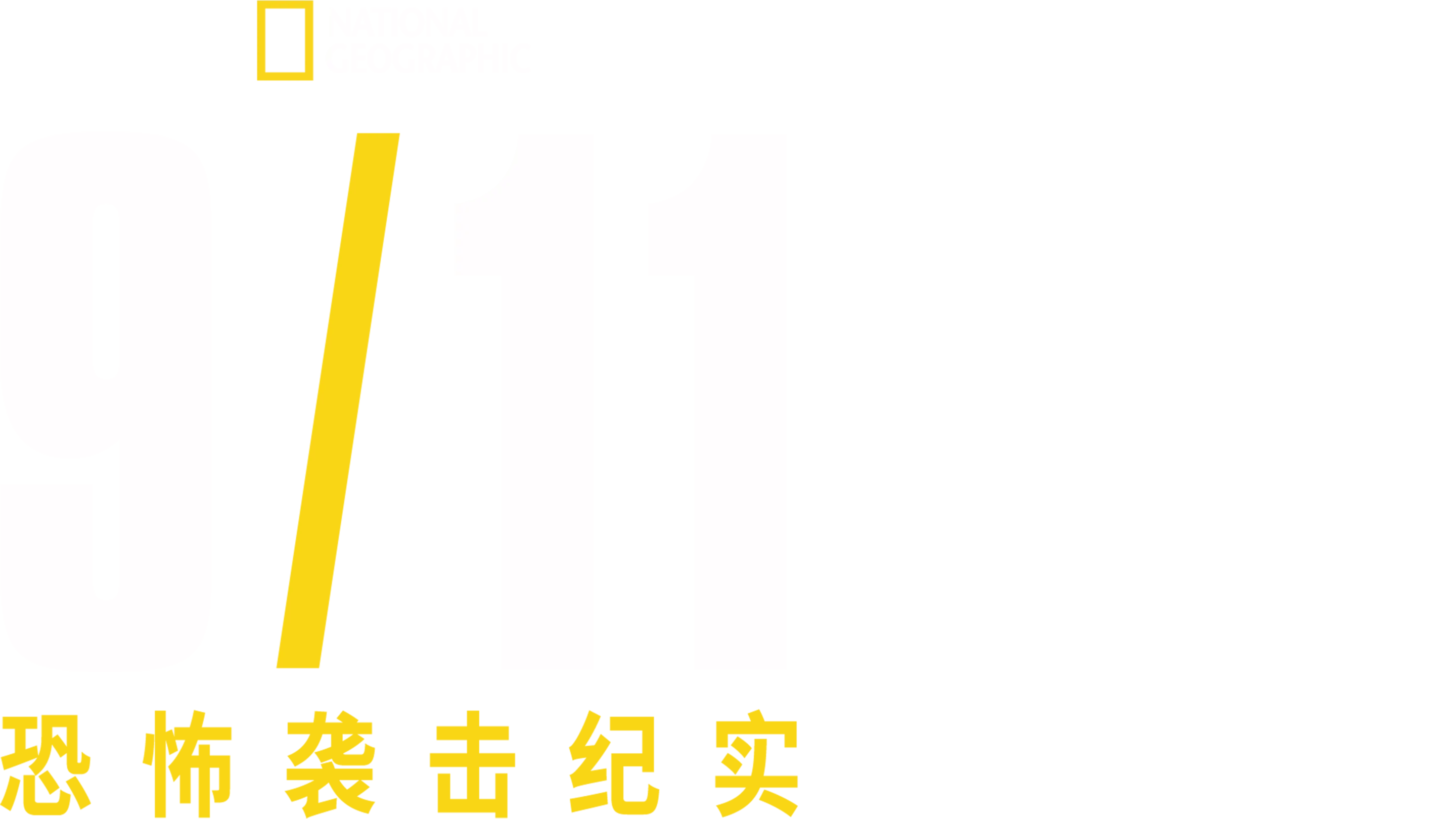 911恐怖袭击纪实