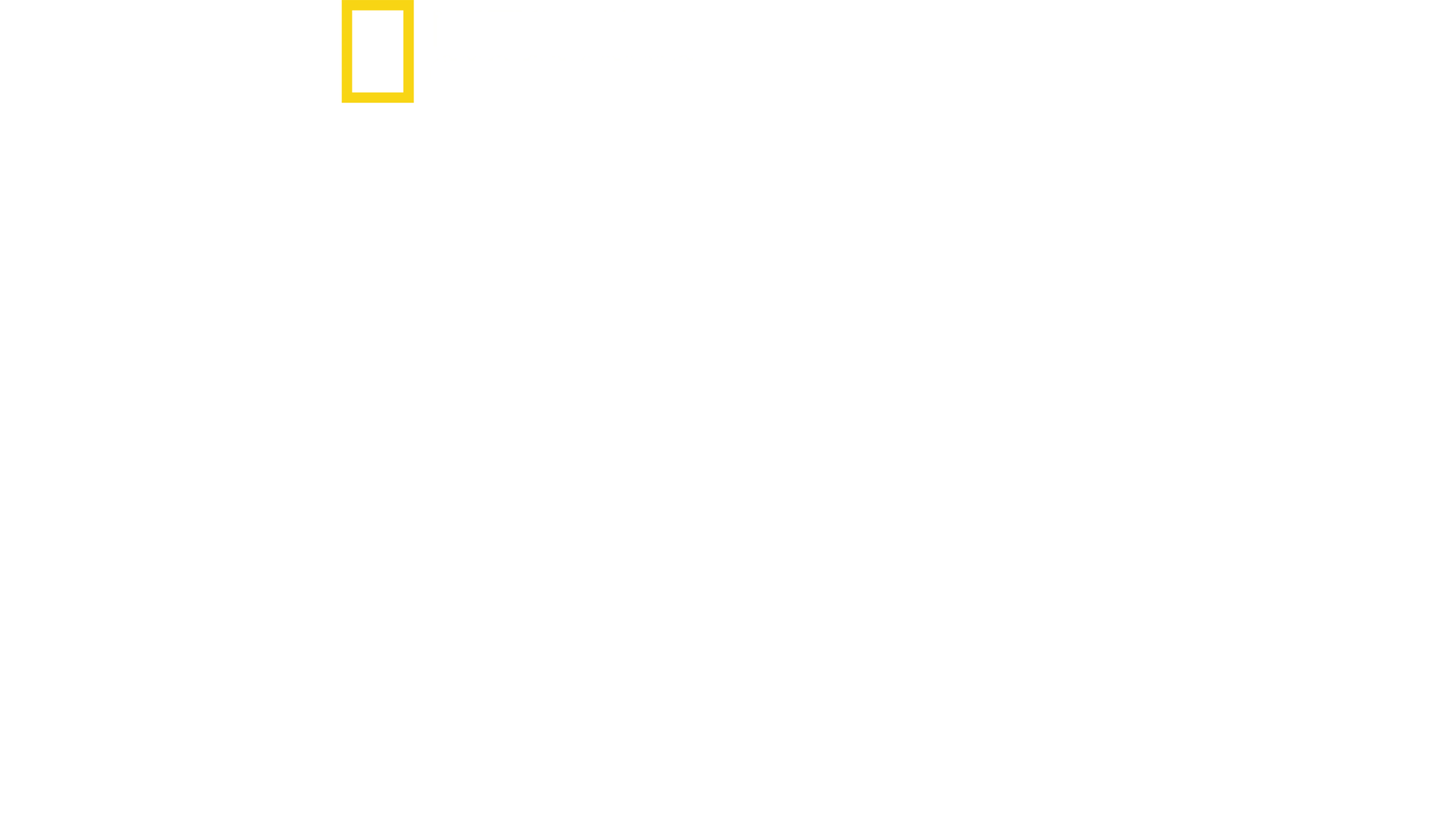 Roms verlorene Schätze