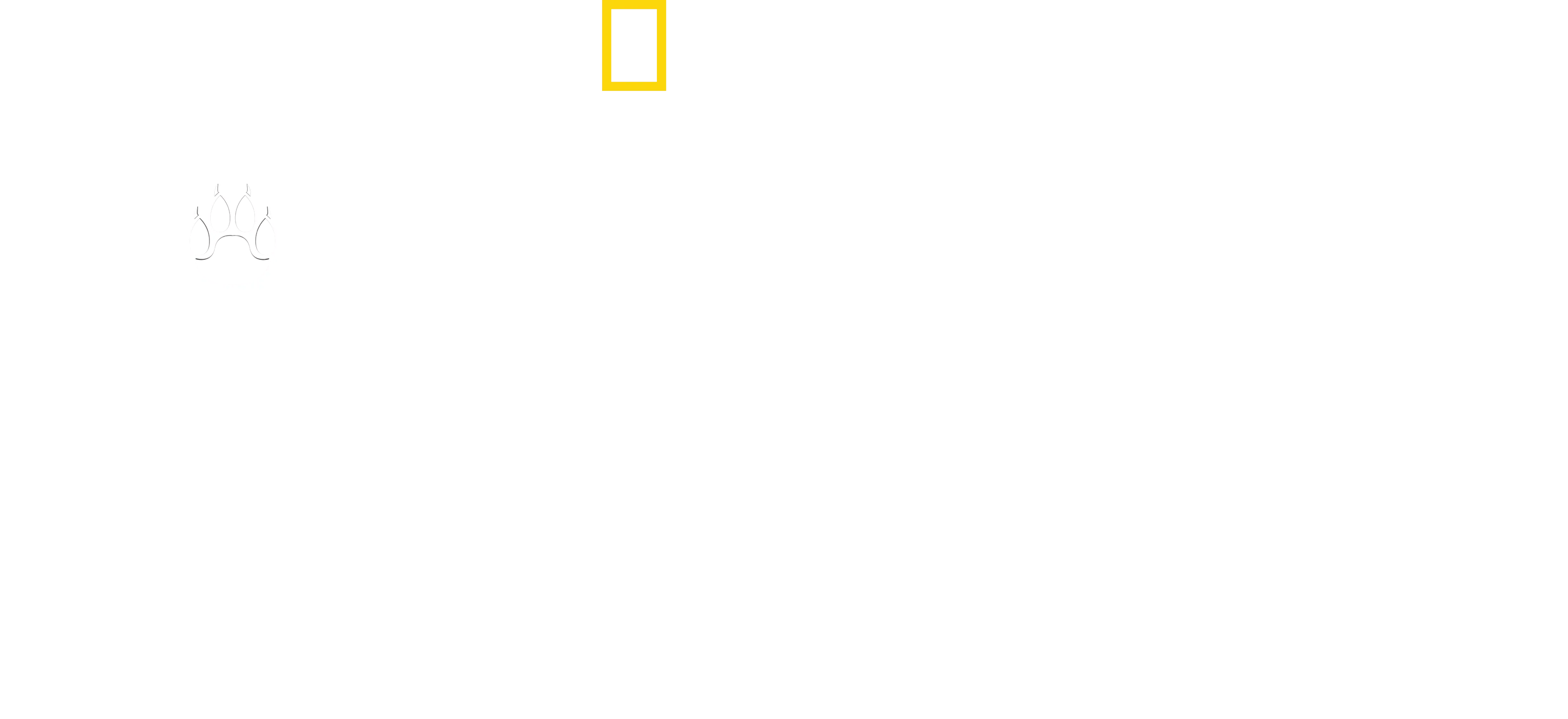 Hombre entre Chitas
