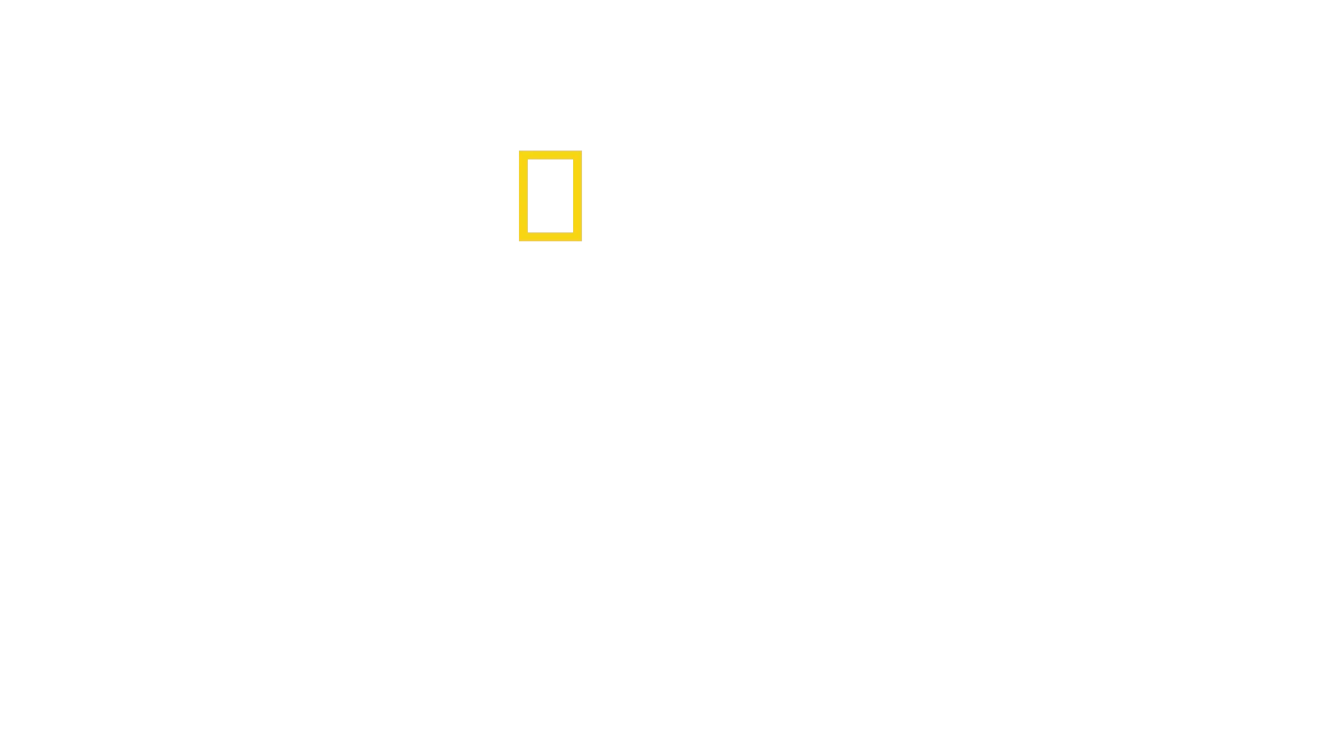 Origens: A jornada da Humanidade