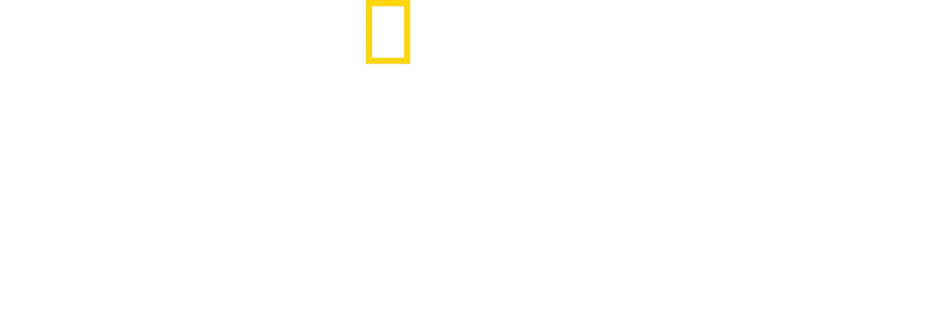 Origens: A jornada da Humanidade