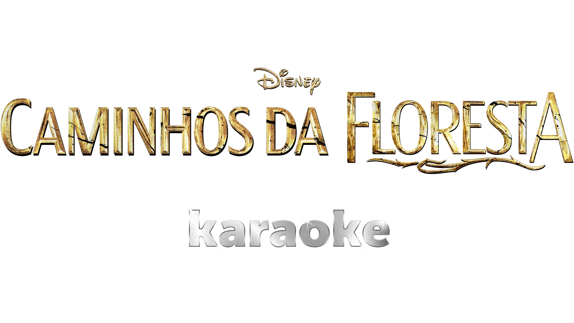 Caminhos da Floresta  karaoke