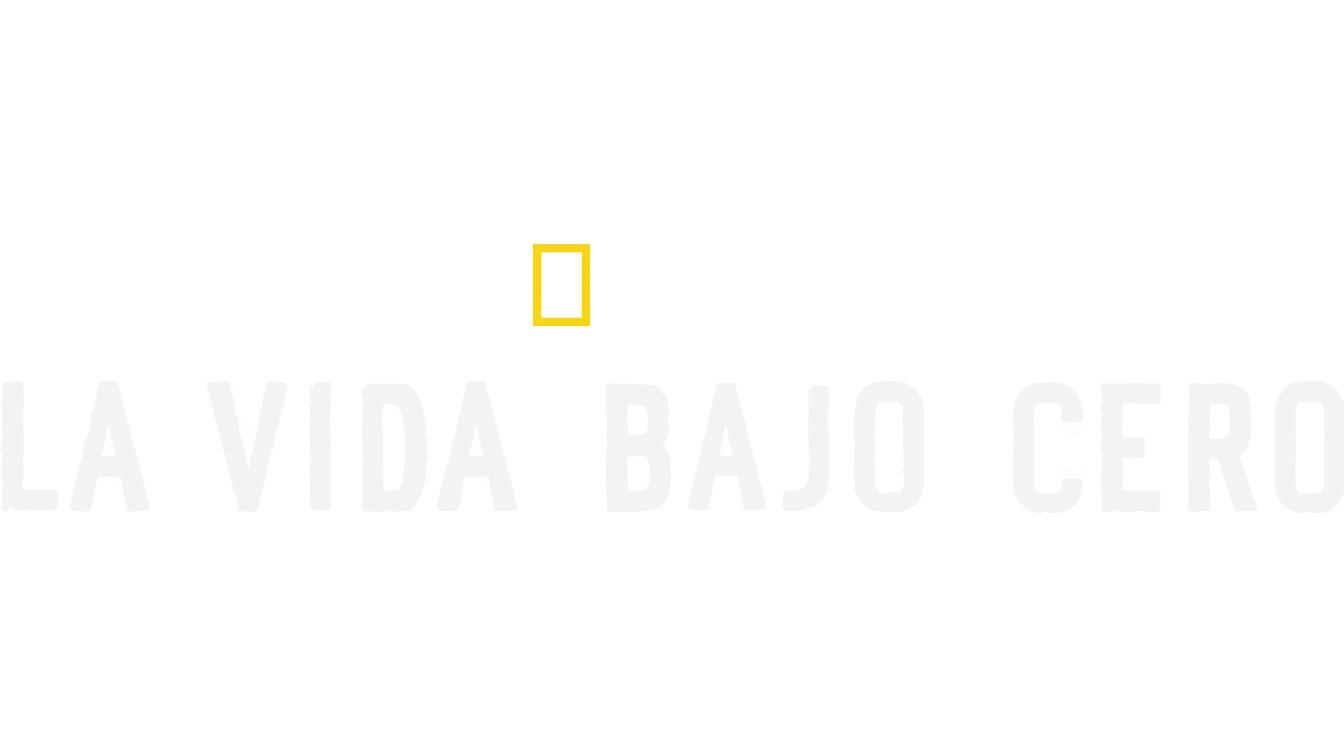 La vida bajo cero