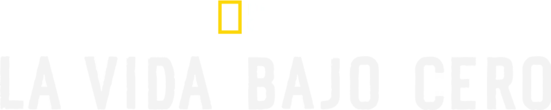 La vida bajo cero