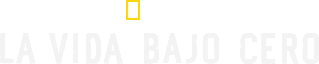 La vida bajo cero