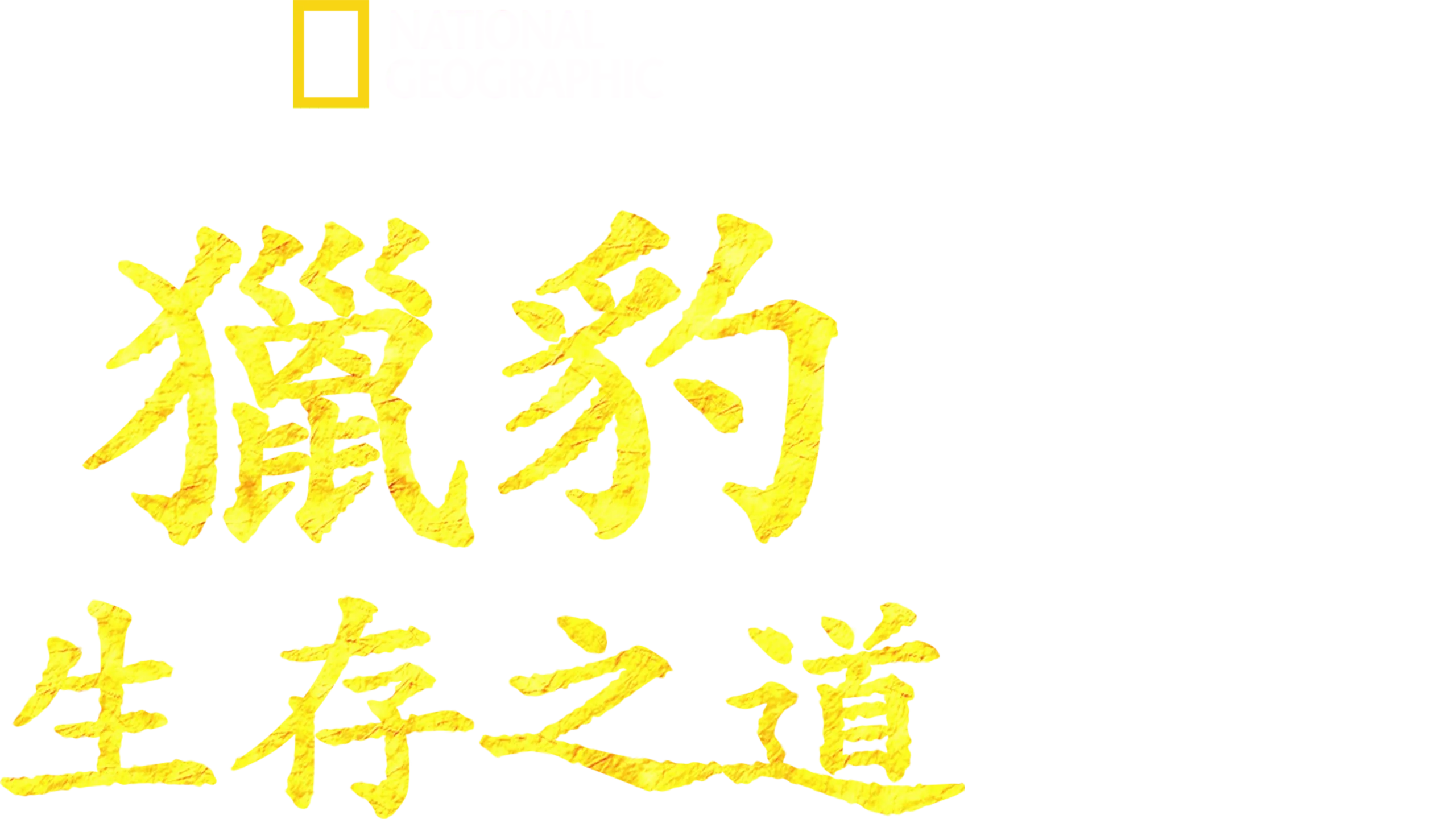 獵豹生存之道