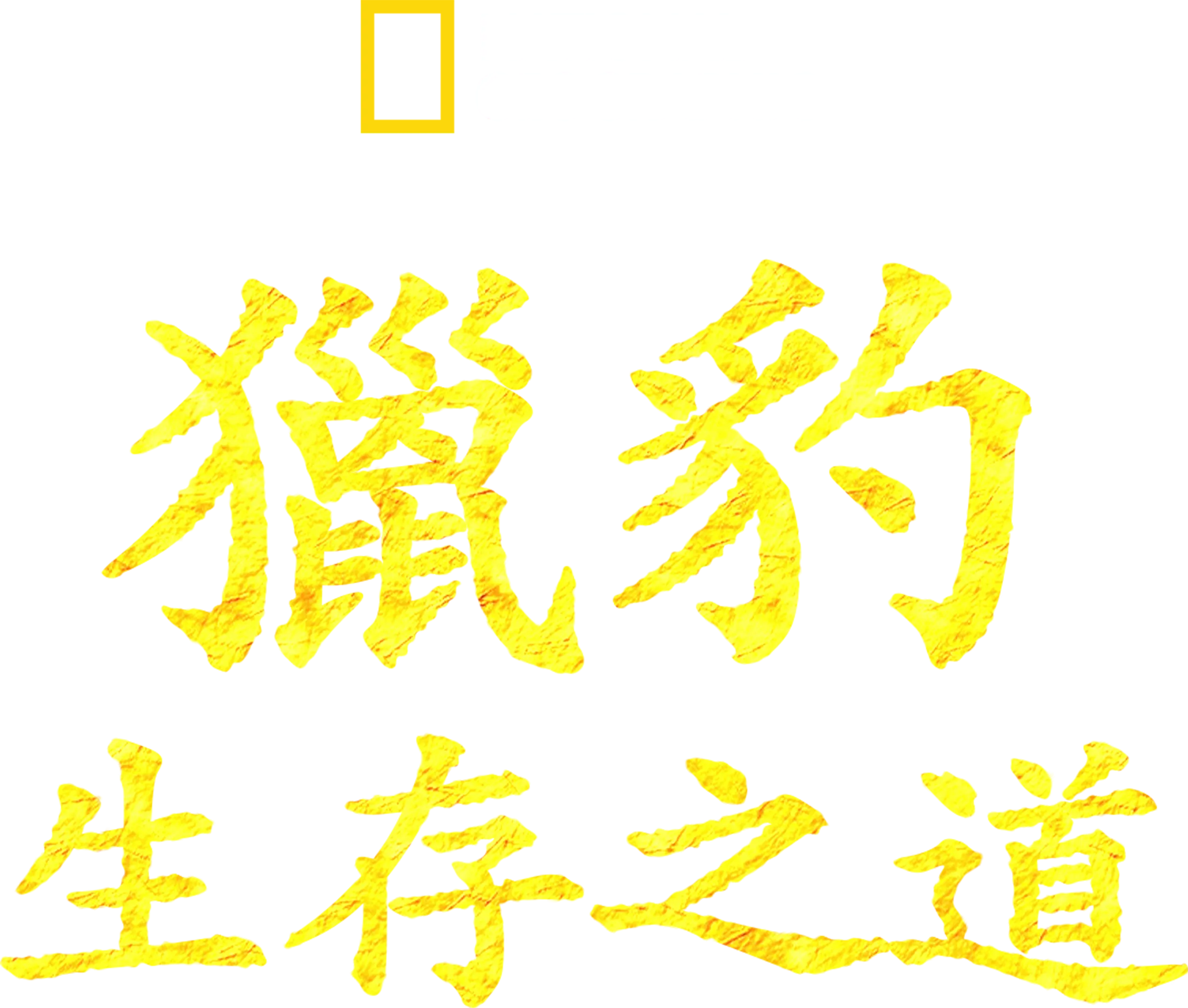獵豹生存之道