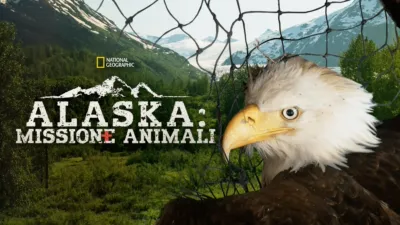 Alaska: Missione animali