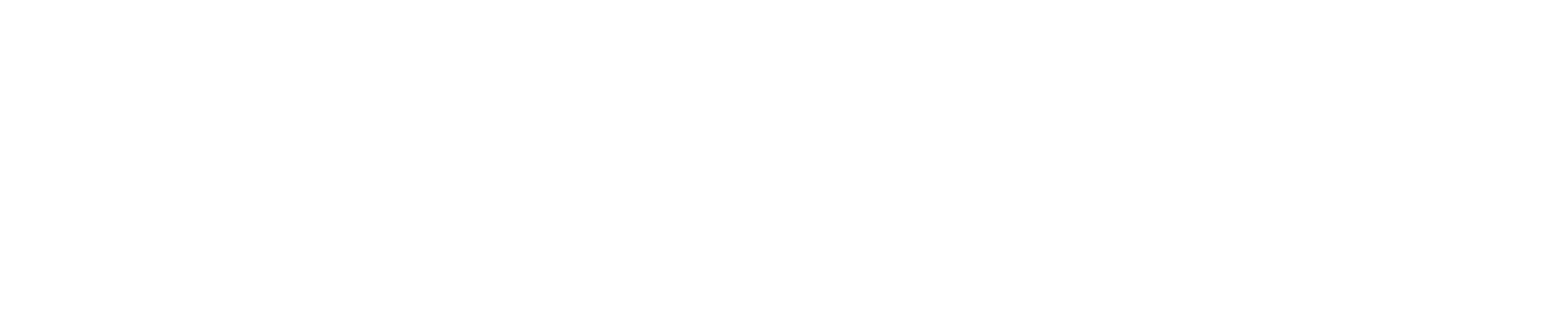 The Holidays