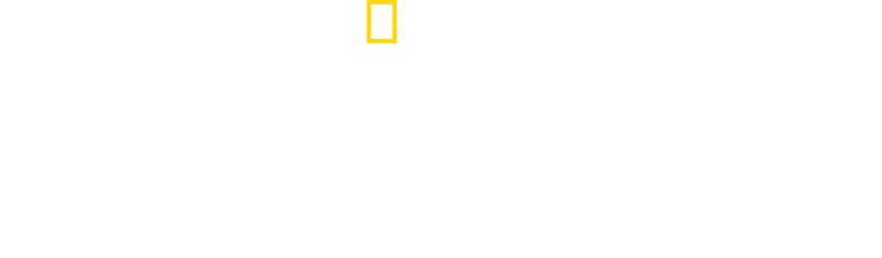 Rekiny południowego Pacyfiku