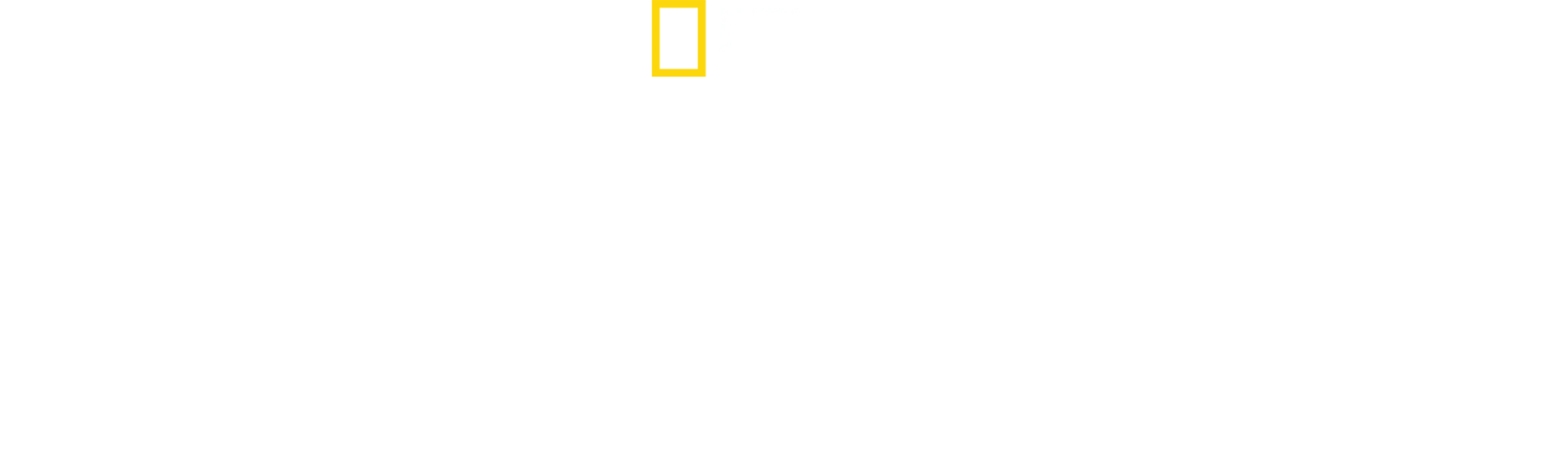 Rekiny południowego Pacyfiku