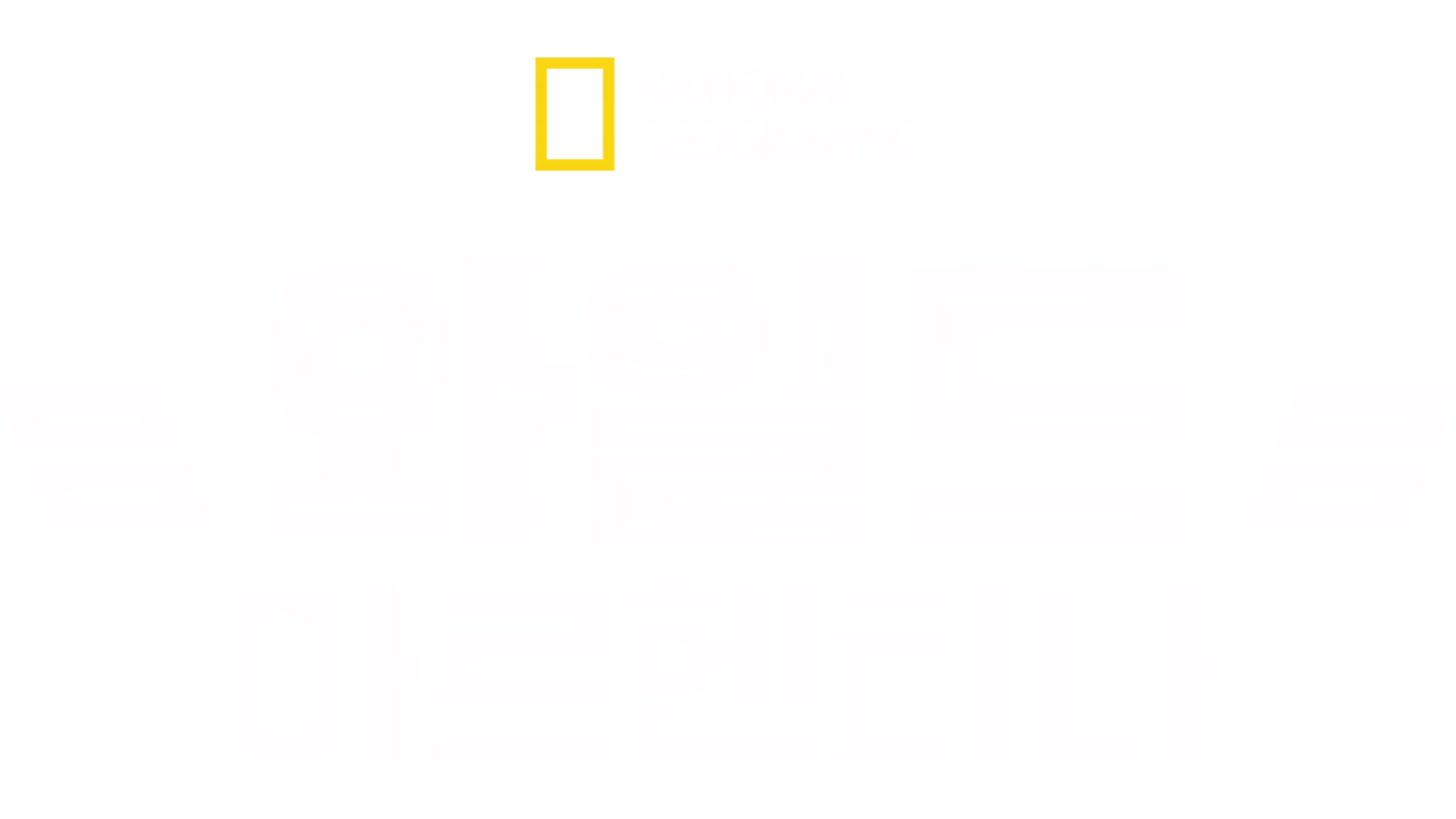 와일드 아르헨티나
