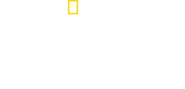 와일드 아르헨티나