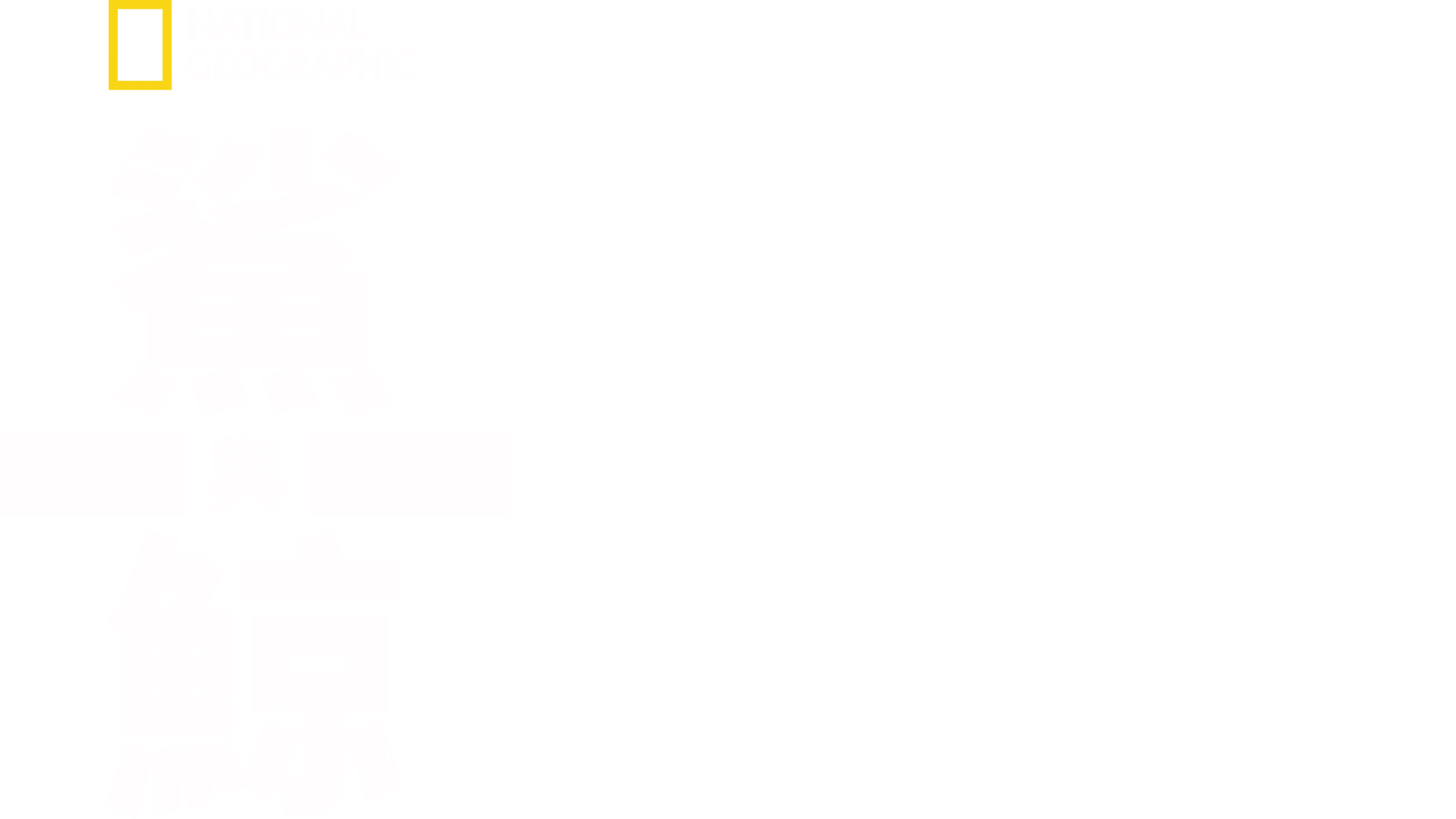 鯊與鯨