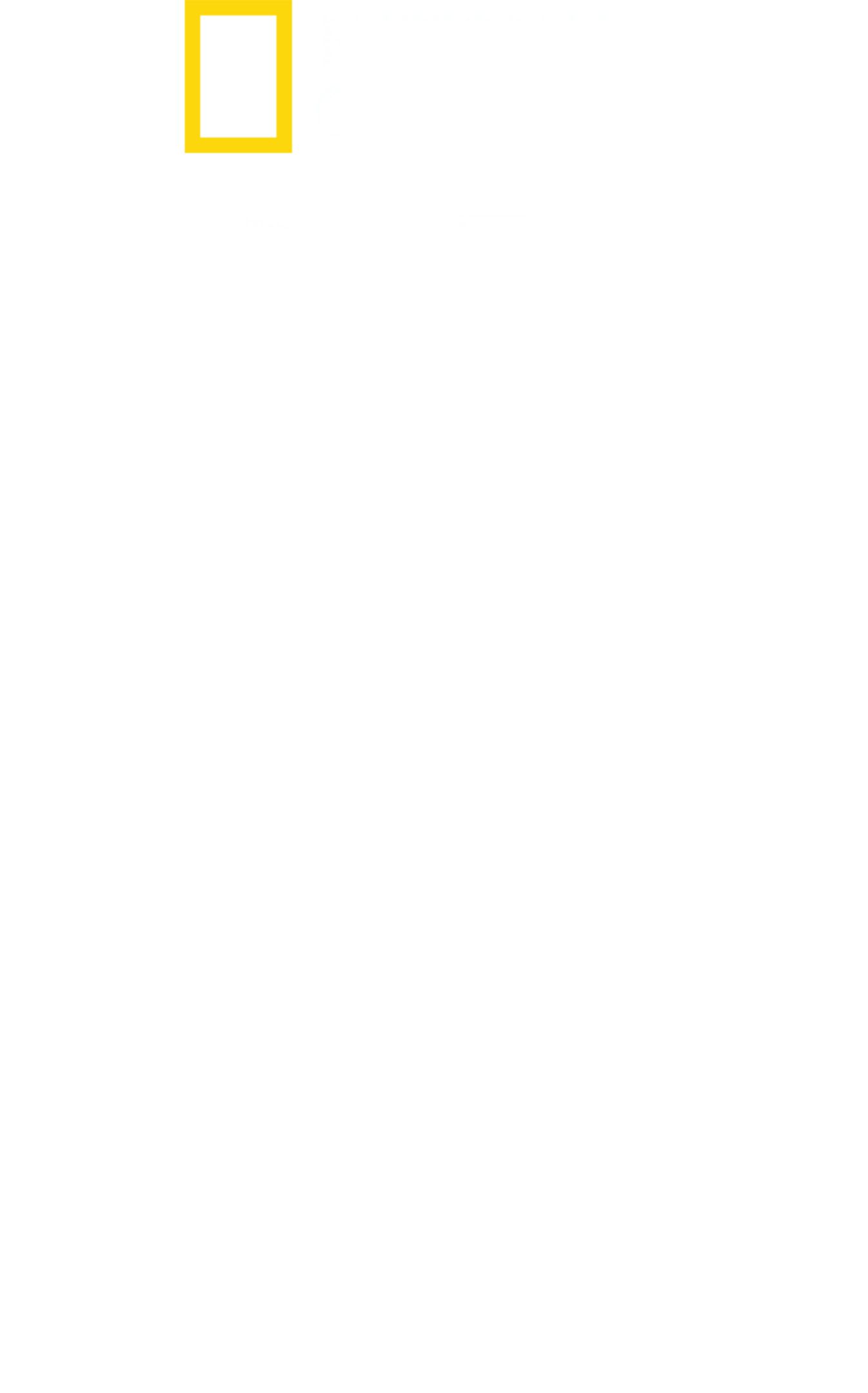 鯊與鯨