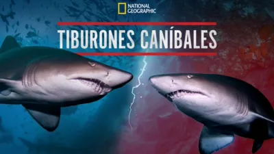 Tiburones caníbales
