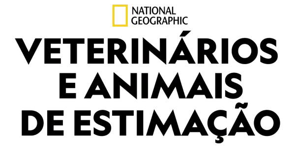 Veterinários e Animais de Estimação