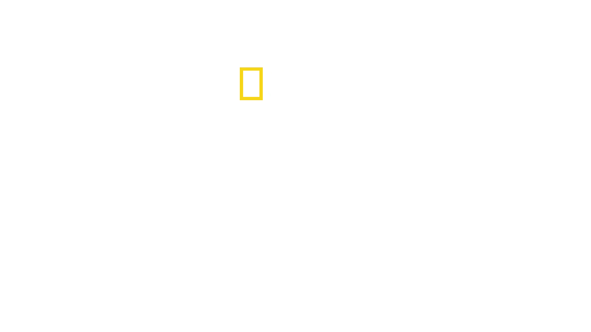 Otroliga maskiner