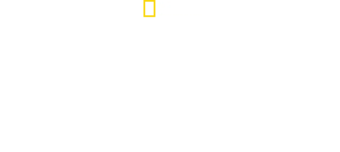 Un monde mortel : redoutables serpents