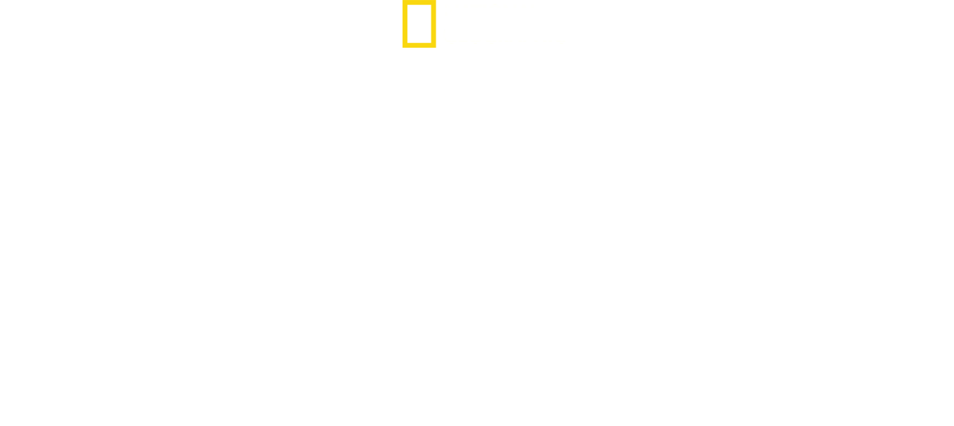 Un monde mortel : redoutables serpents
