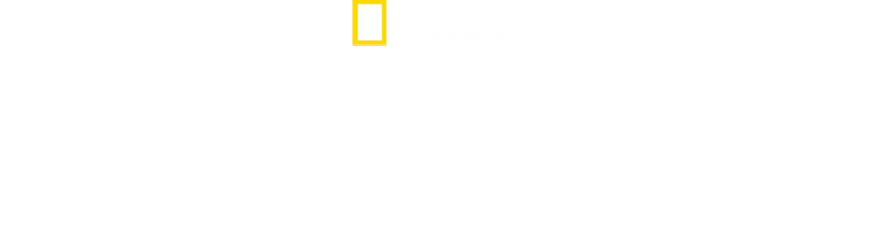 Dr.ssa Susan: missione veterinaria