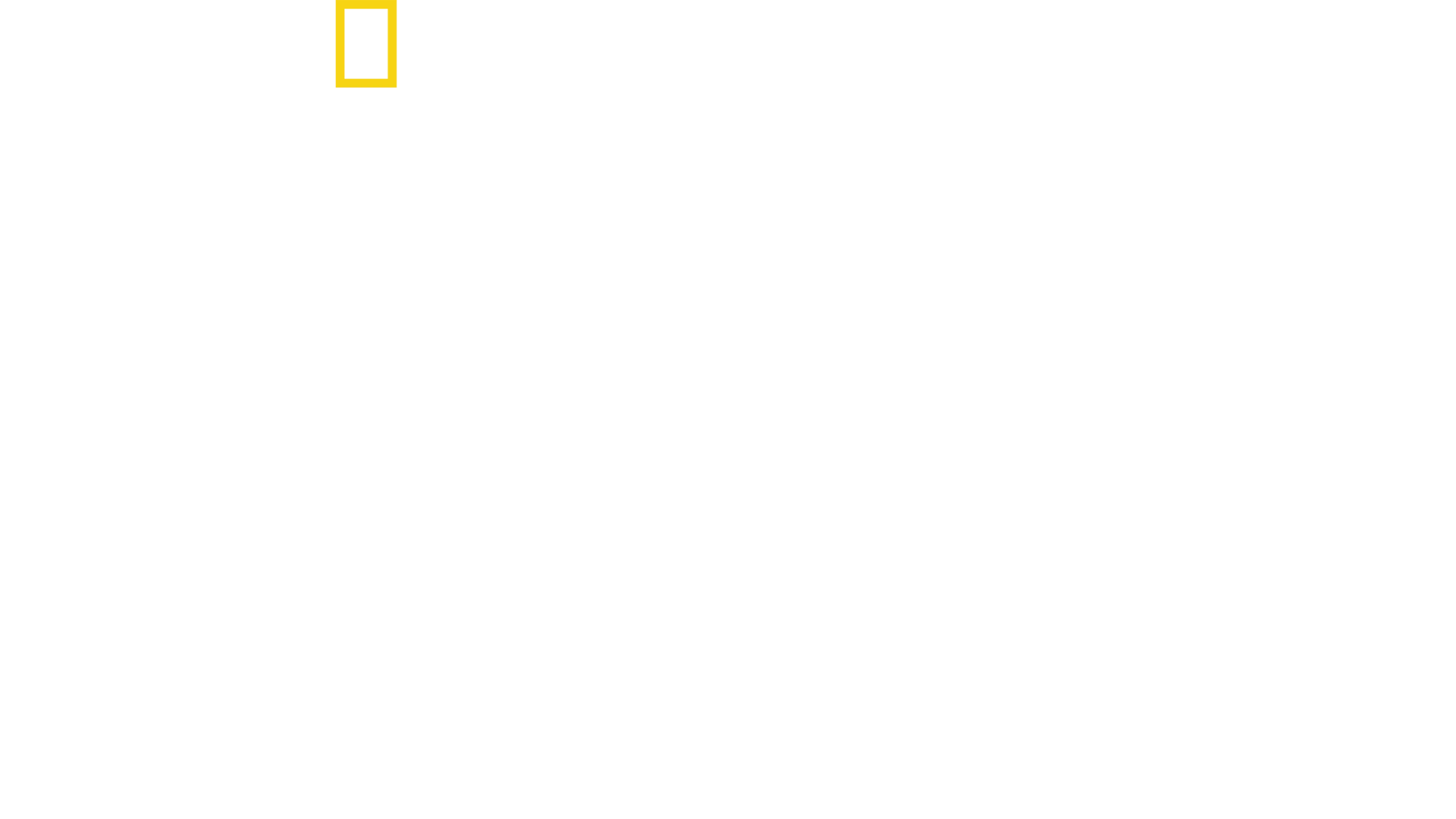 チャレンジャー号爆発事故　30年目の真実