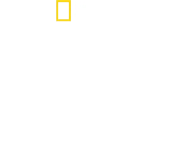 Tucci en Italia