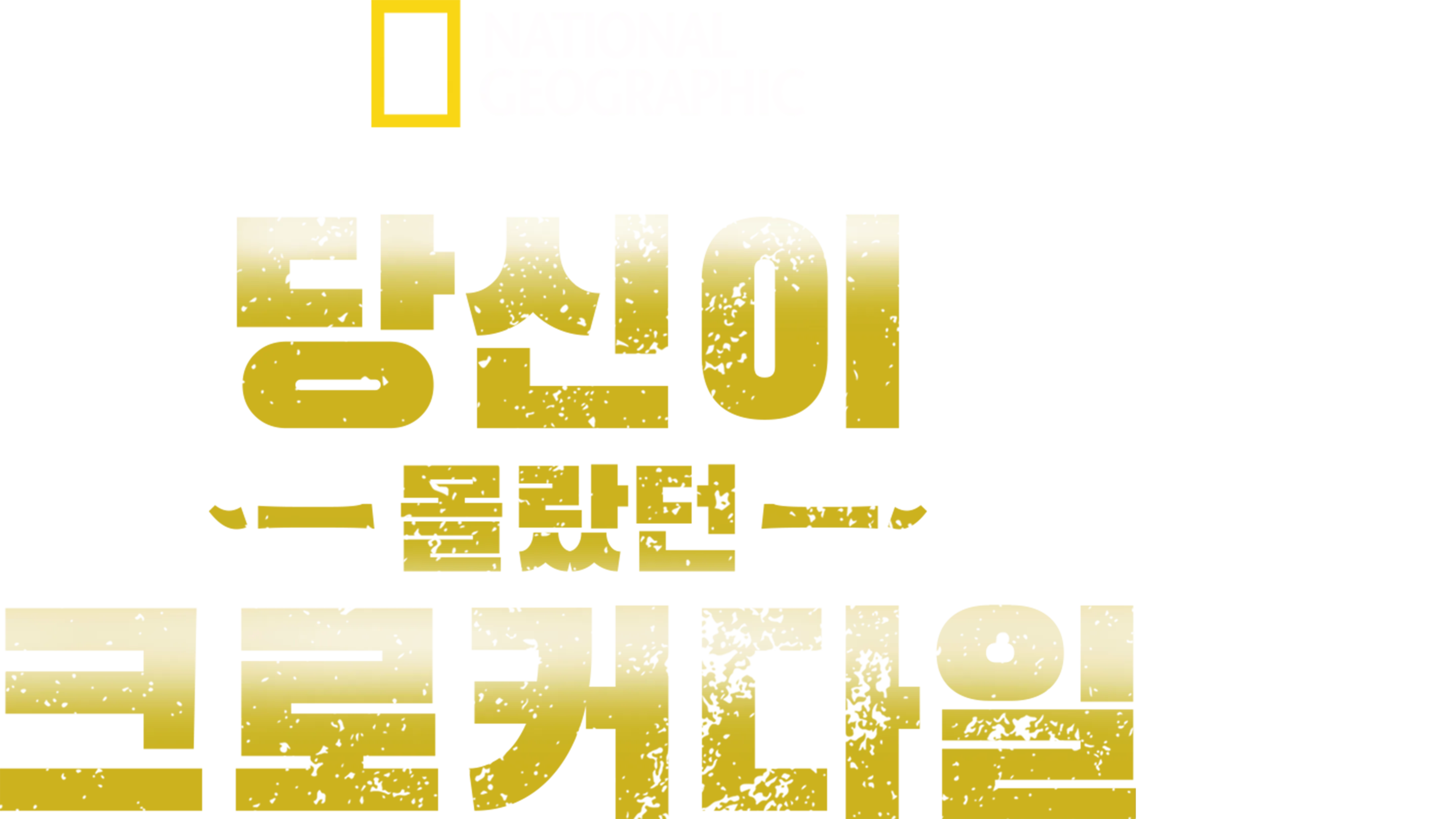 당신이 몰랐던 크로커다일