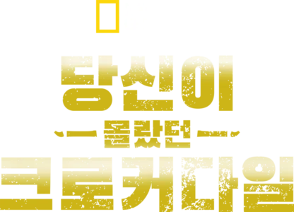 당신이 몰랐던 크로커다일