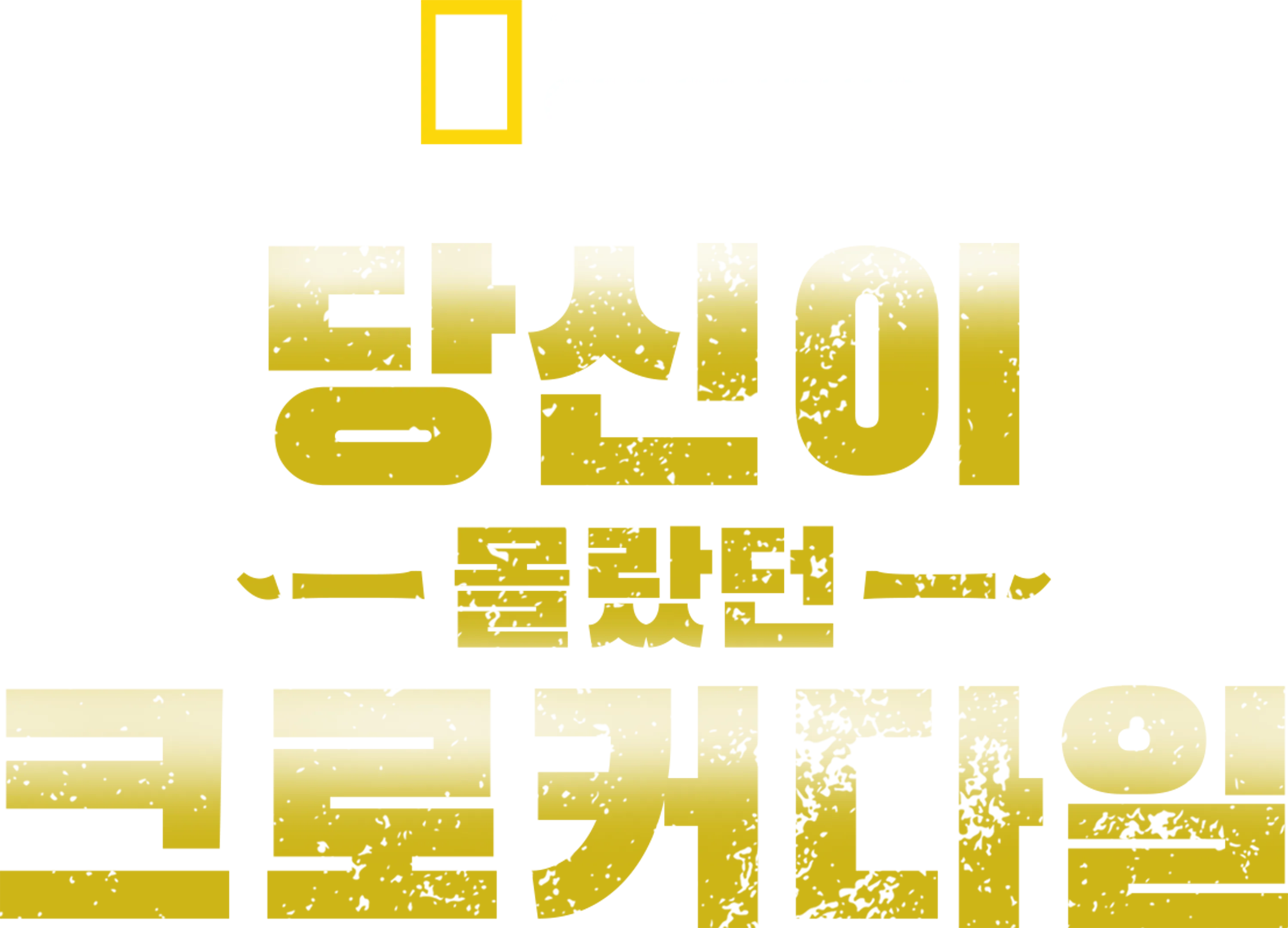 당신이 몰랐던 크로커다일