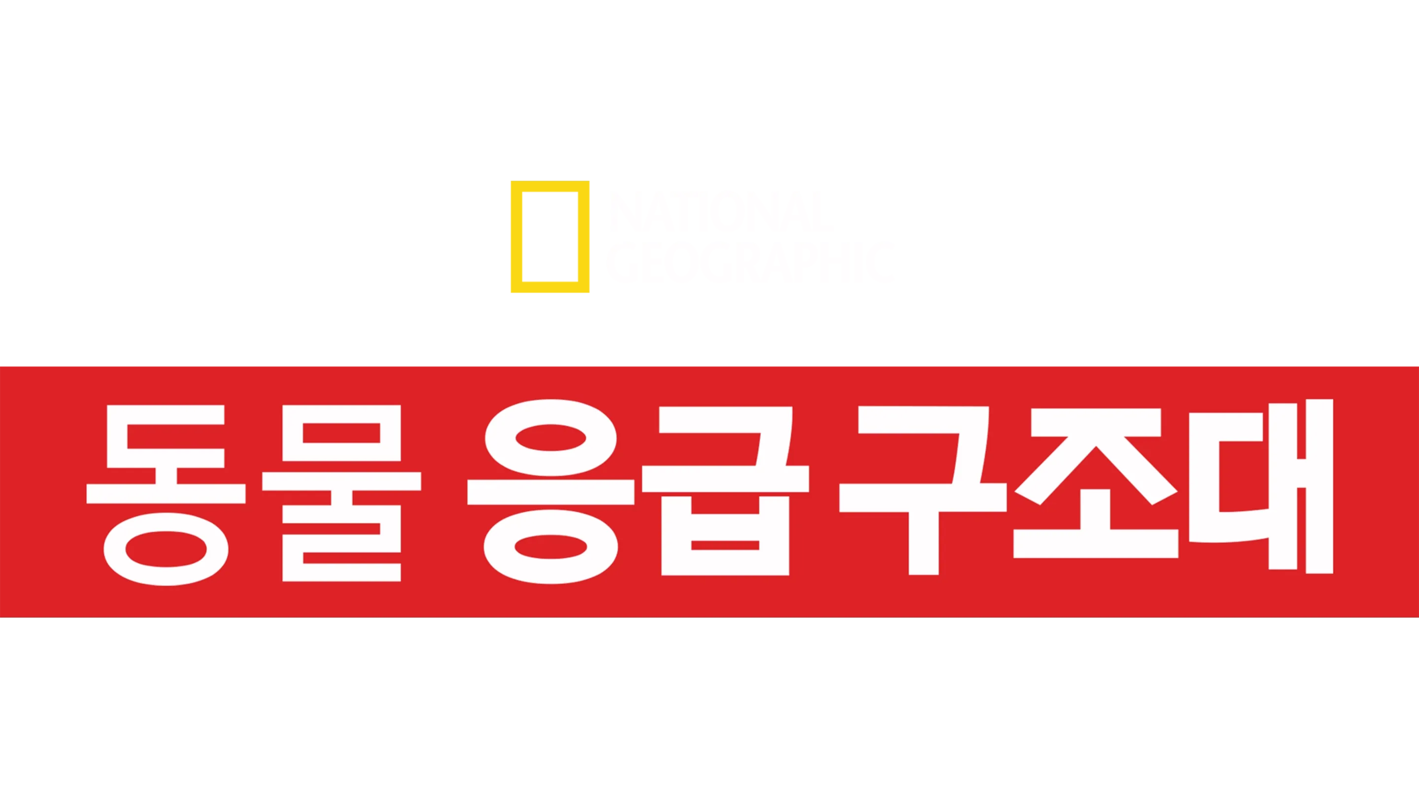 동물 응급 구조대