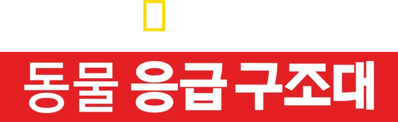 동물 응급 구조대